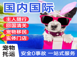 琼海机场邮寄国际宠物托运 【国
